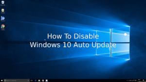 How to disable Windows 10 auto update